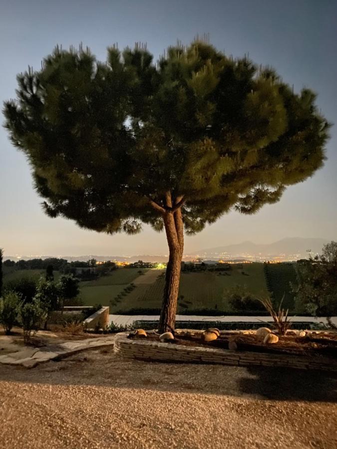 B&B Santa Caterina アックアヴィーヴァ・ピチェーナ エクステリア 写真